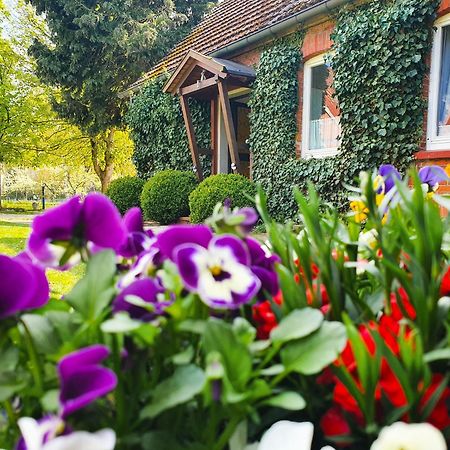 Am Alten Haus Altenmedingen Dış mekan fotoğraf