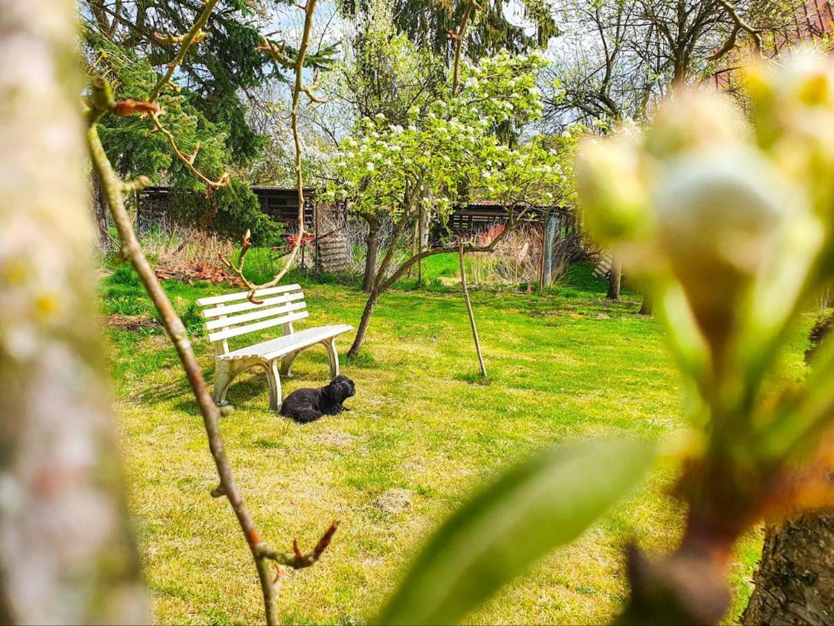 Am Alten Haus Altenmedingen Dış mekan fotoğraf