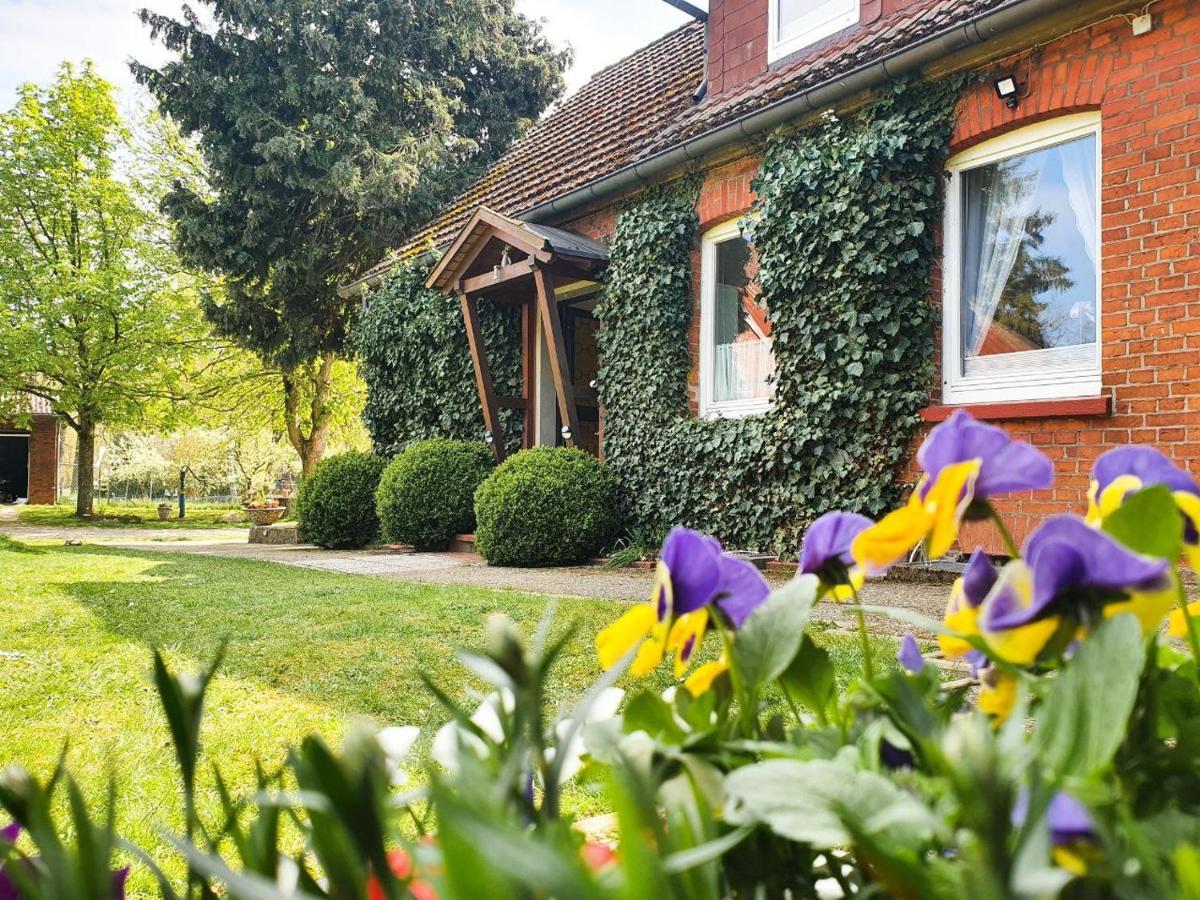 Am Alten Haus Altenmedingen Dış mekan fotoğraf