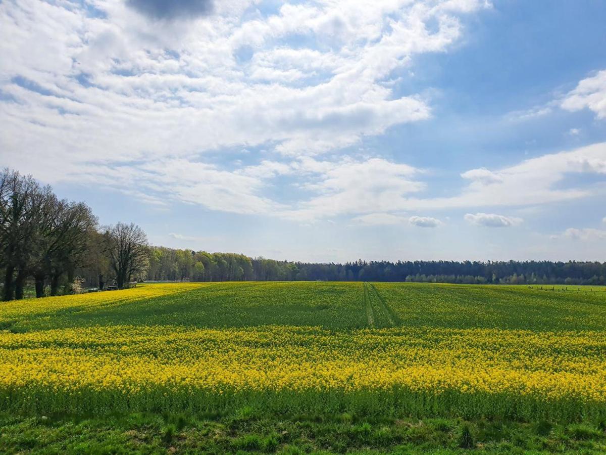 Am Alten Haus Altenmedingen Dış mekan fotoğraf