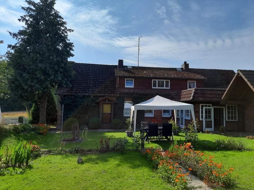 Am Alten Haus Altenmedingen Dış mekan fotoğraf